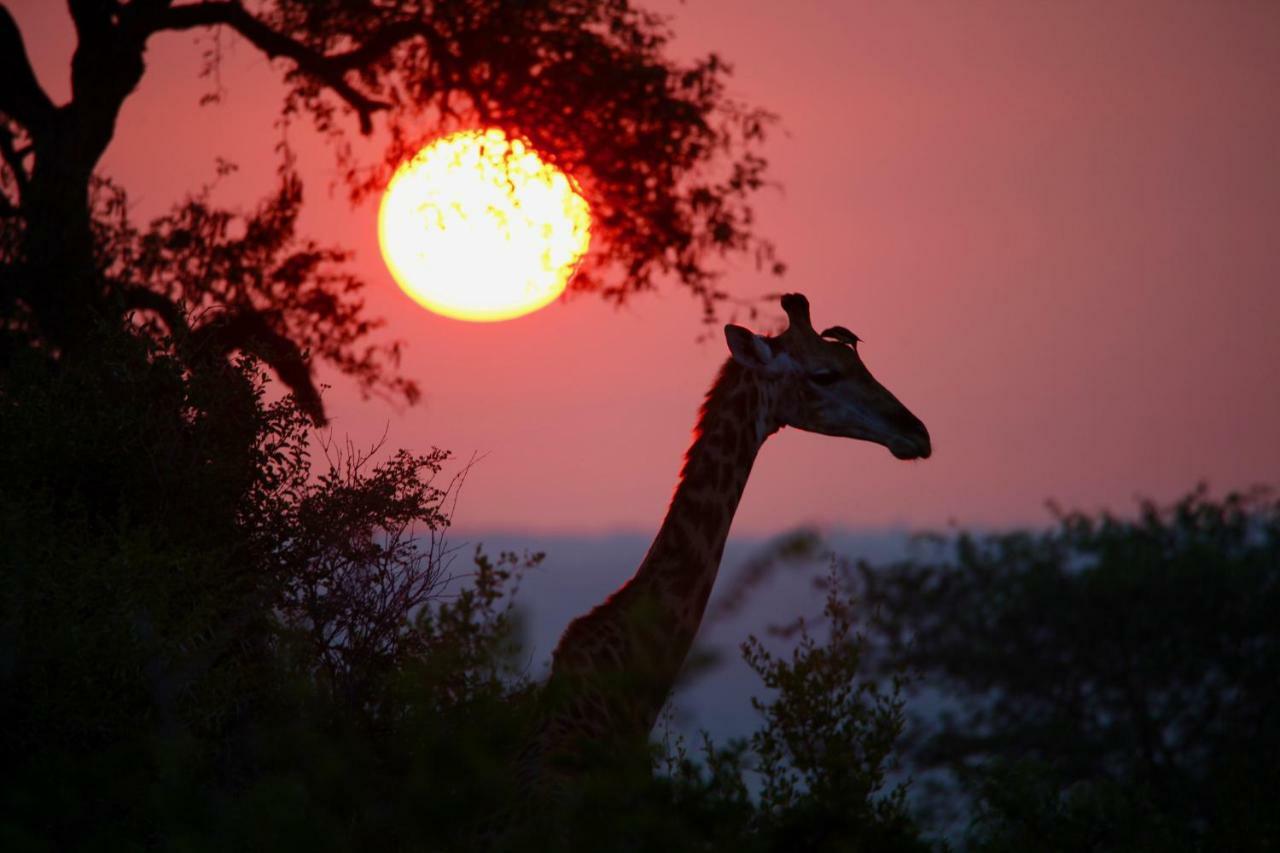 Ivory Wilderness River Rock Lodge Klaserie Private Nature Reserve Exterior foto